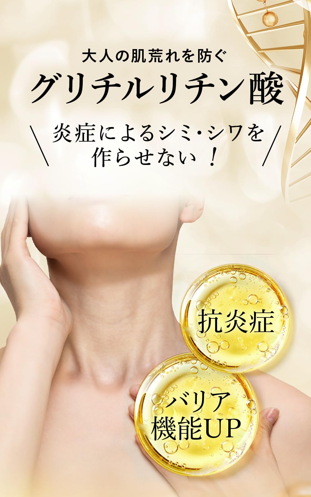 Amazon.co.jp: ファンファレ: セール商品